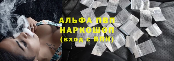 трава Аркадак