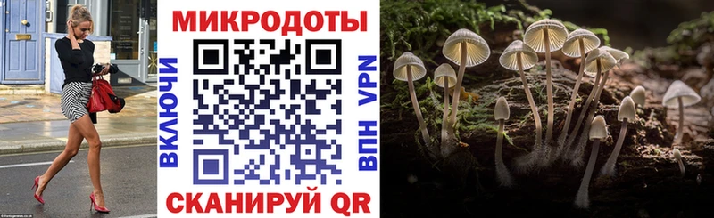mega как зайти  Снежногорск  Галлюциногенные грибы прущие грибы 